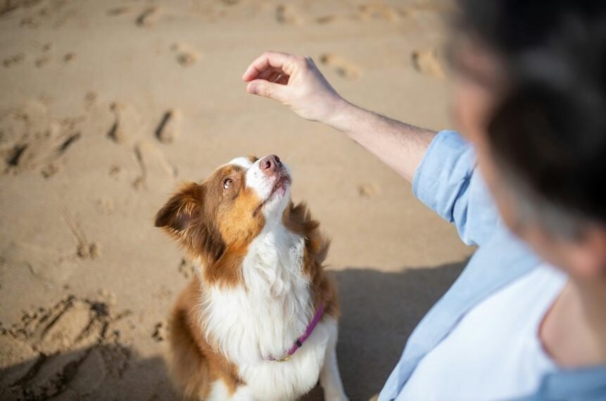 signal intelligence operational brief